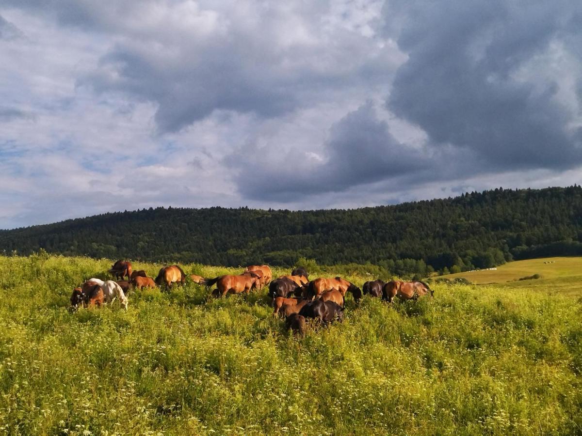 Pastelova Krova - Domki W Bieszczadach Ustrzyki Dolne Buitenkant foto