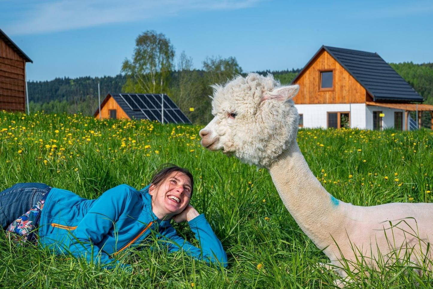 Pastelova Krova - Domki W Bieszczadach Ustrzyki Dolne Buitenkant foto